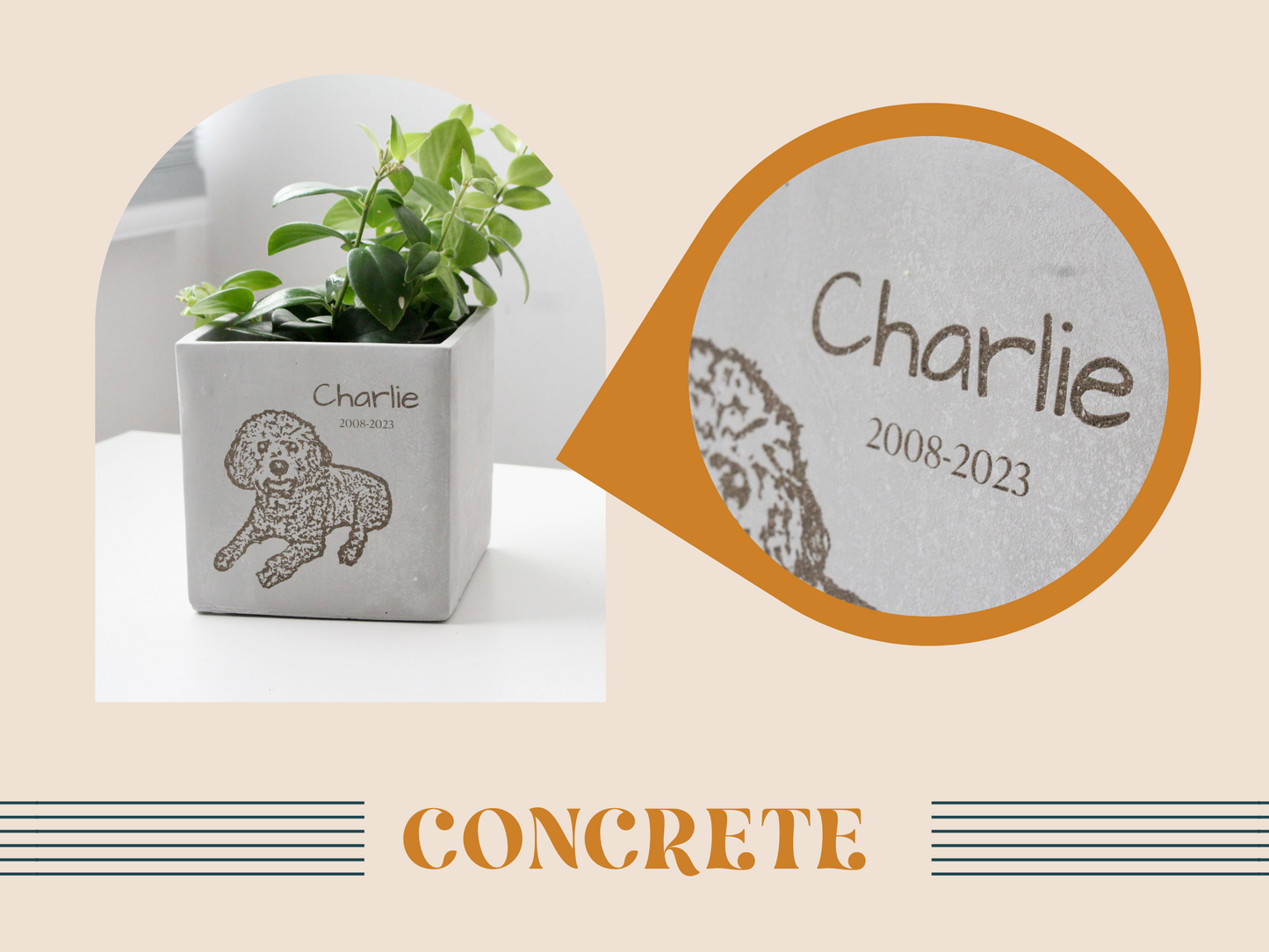 Concrete Planter Box 12"