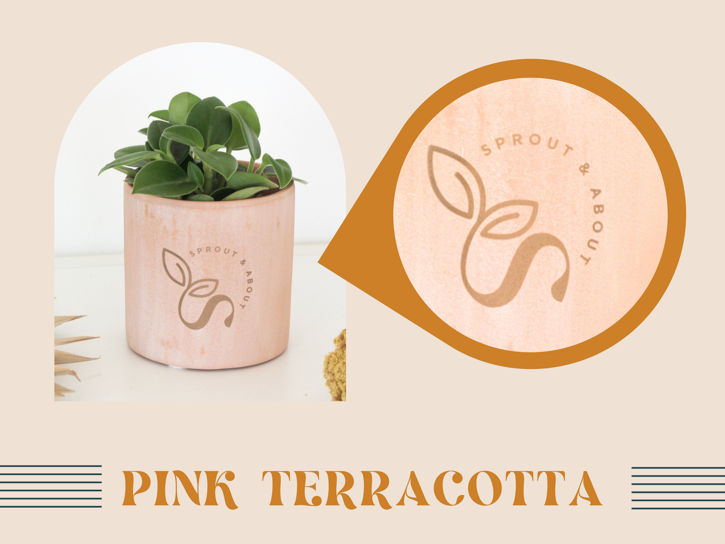 3" Blush Pink Terracotta Cylinder Pot