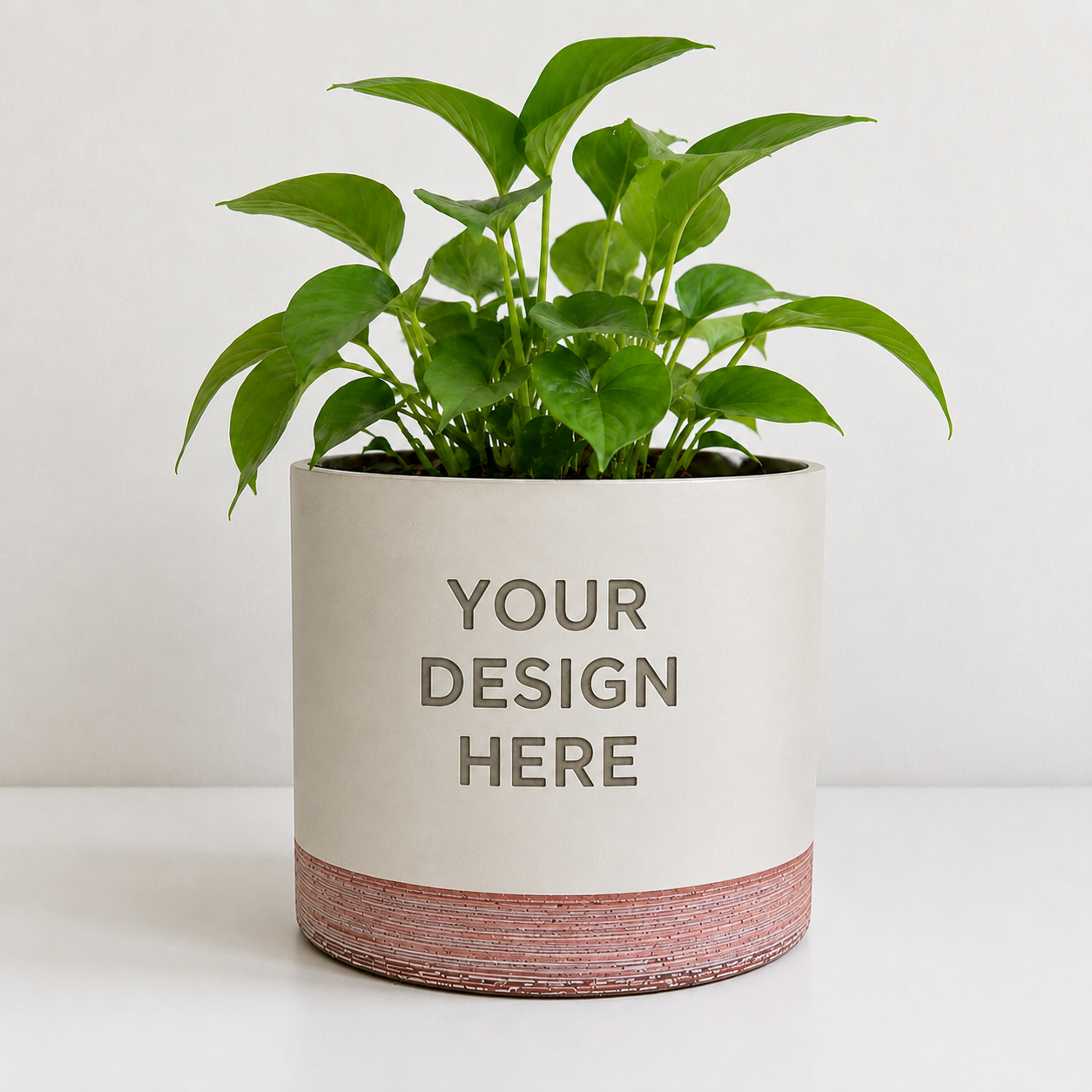 7" Concrete + Terracotta Cylinder