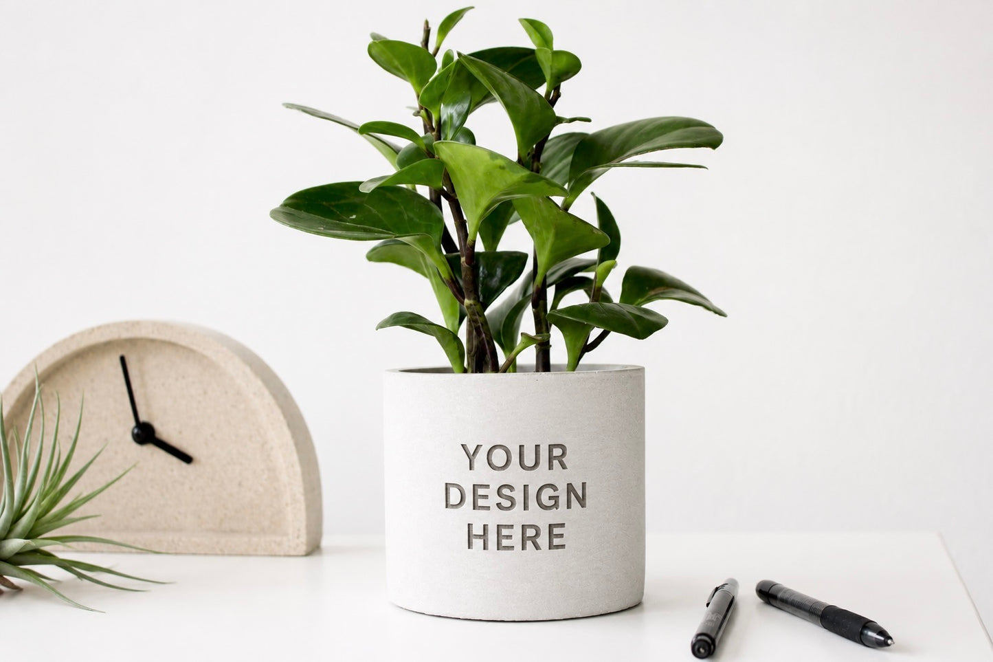 5" Concrete Cylinder Planter Pot