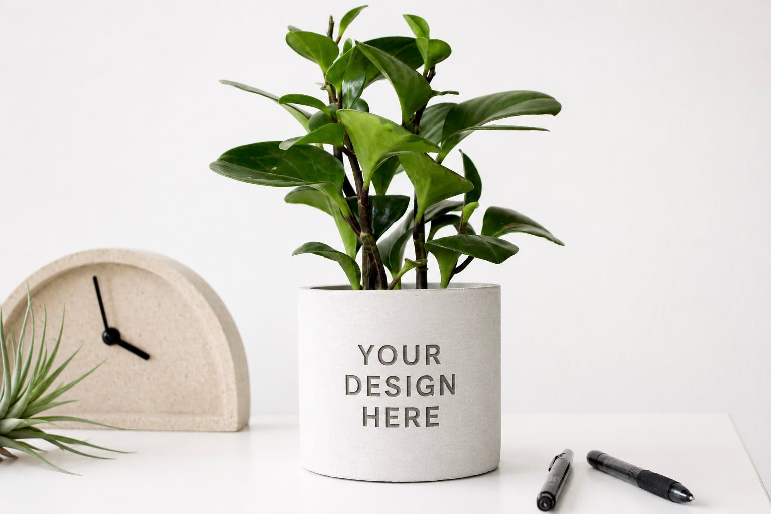 5" Concrete Cylinder Planter Pot