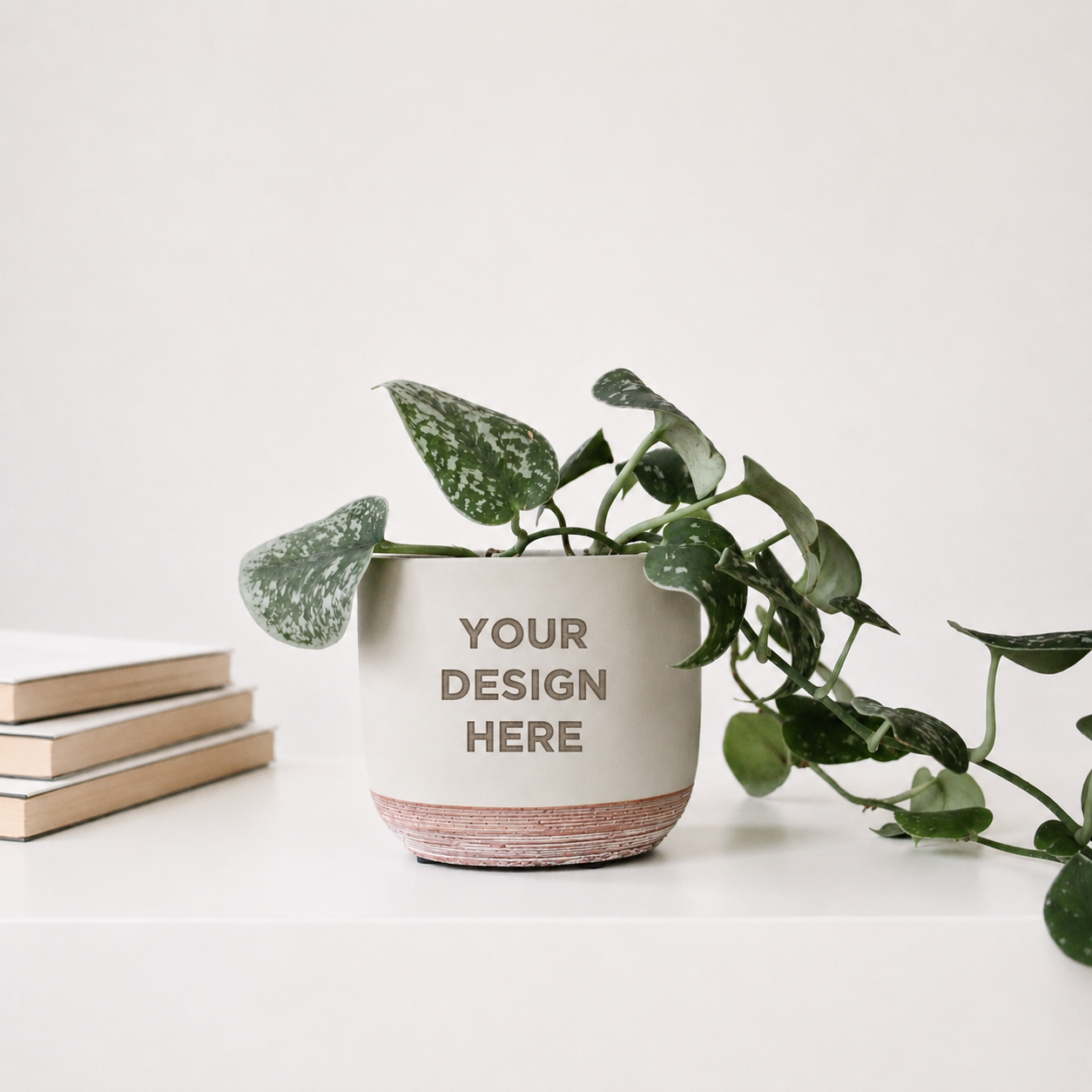 5" Concrete & Terracotta Rounded Cylinder Planter Pot