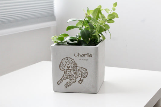 5" Concrete Cube Planter Pot