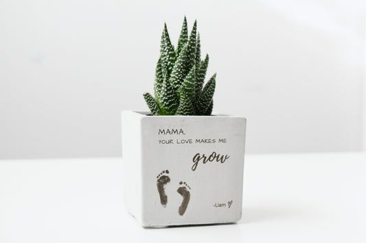 3" Concrete Cube Planter Pot