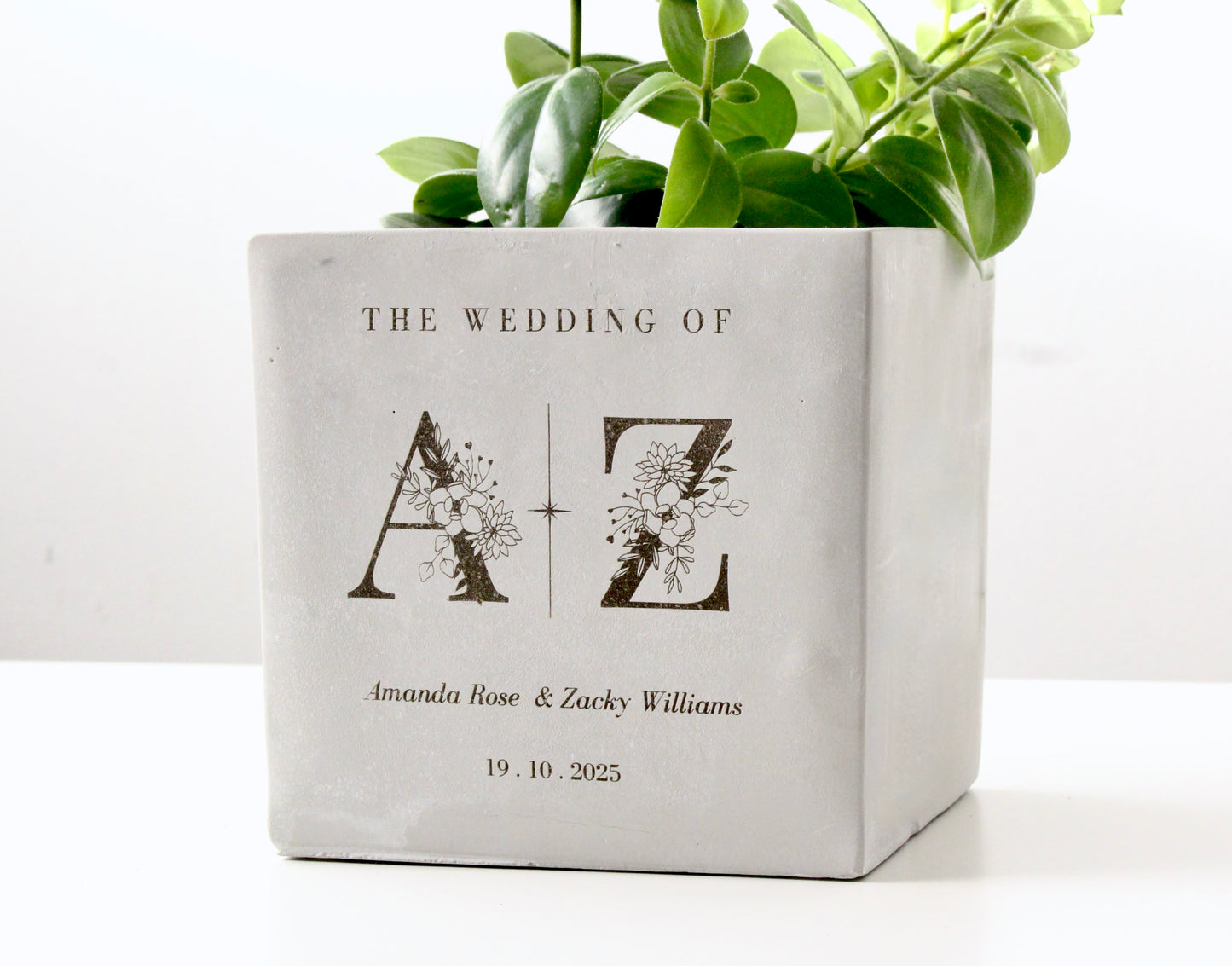 5" Concrete Cube Planter Pot