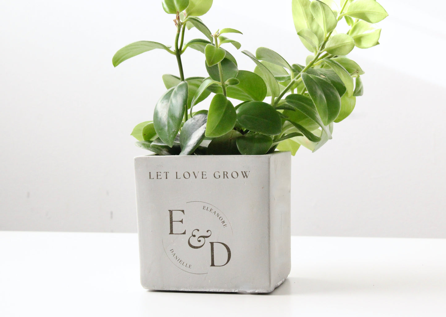 5" Concrete Cube Planter Pot