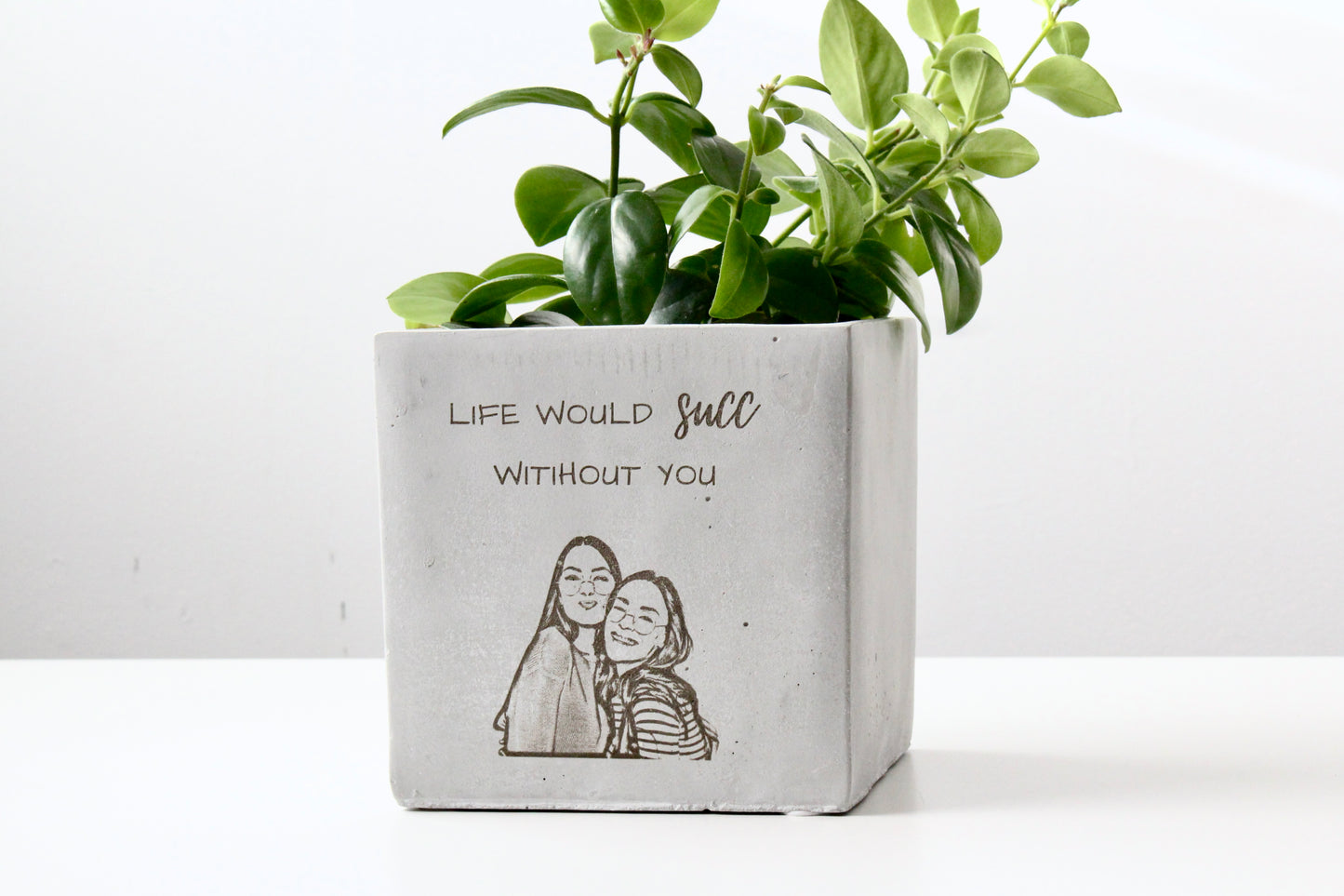 5" Concrete Cube Planter Pot