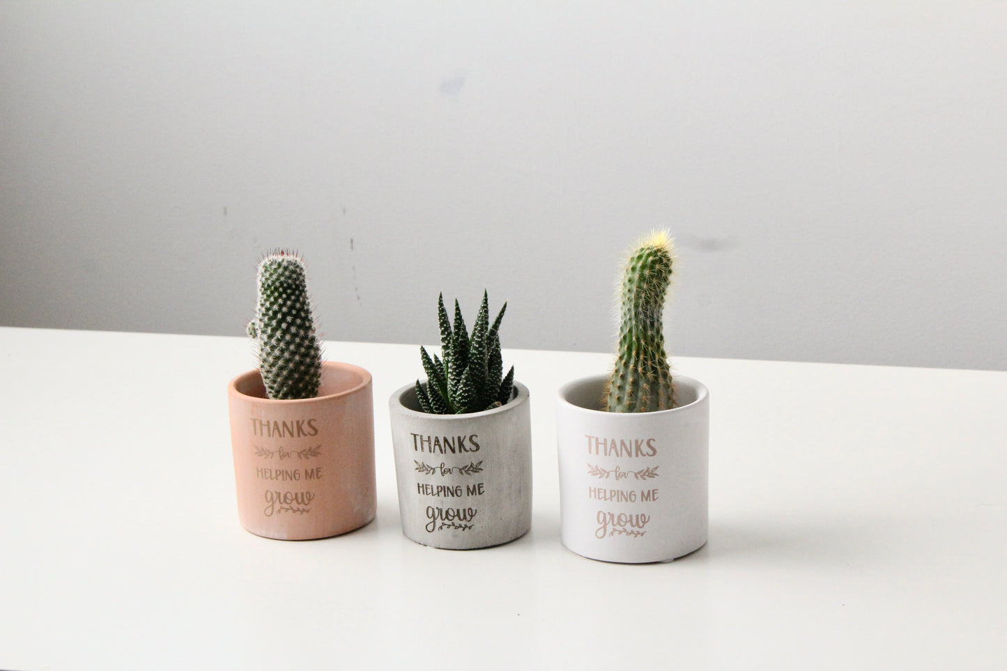 3" Concrete Cylinder Planter Pot