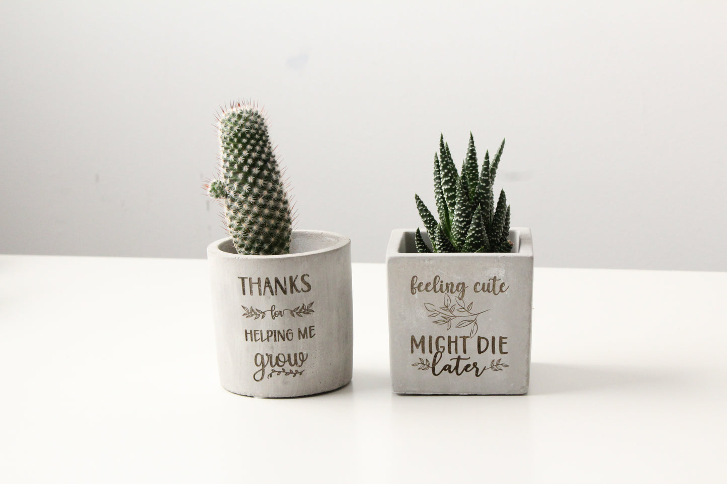 3" Concrete Cylinder Planter Pot