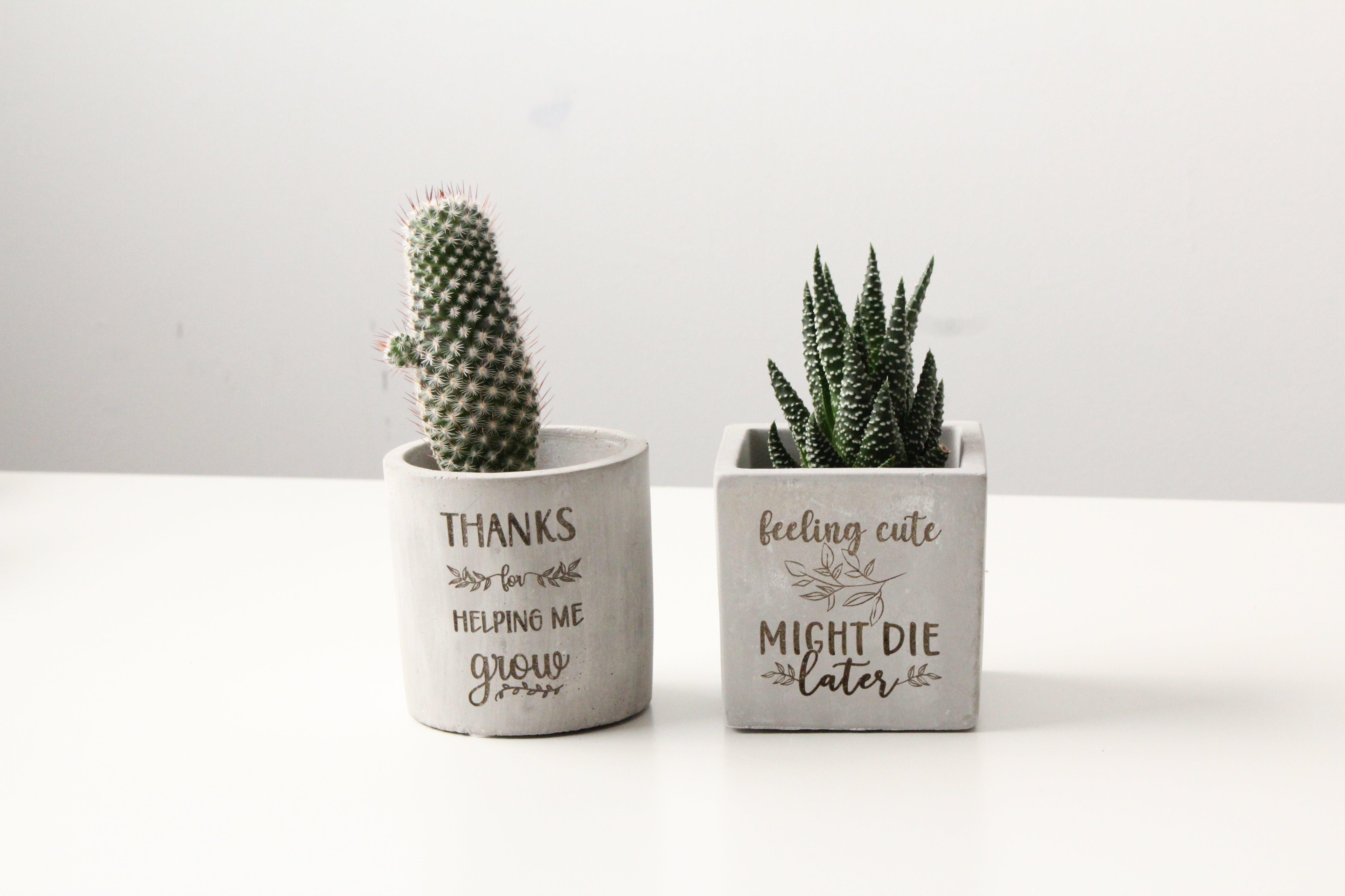 cute plant pot sayings 3" Concrete Cube Planter Pot– YouConcreteMe