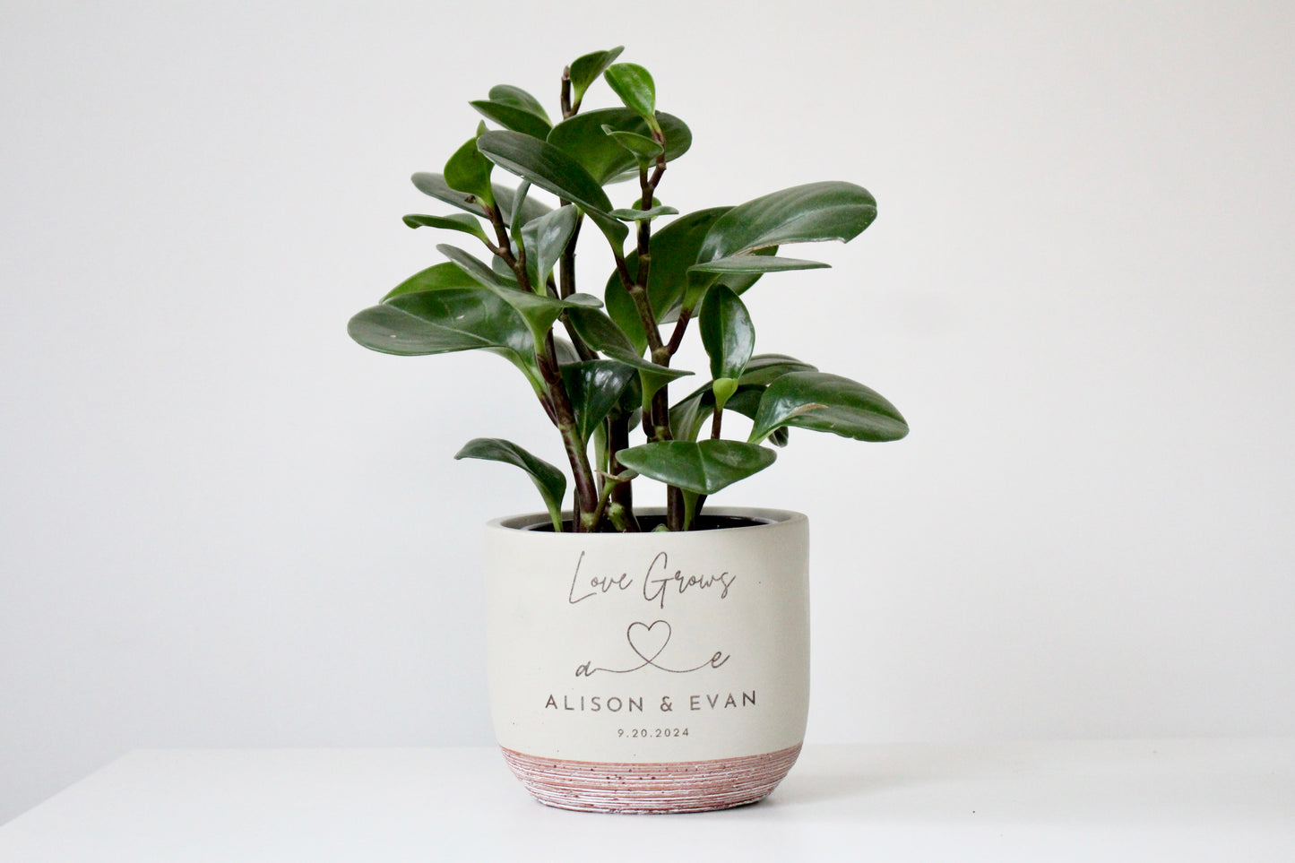 5" Concrete & Terracotta Rounded Cylinder Planter Pot