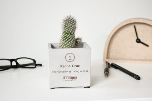 3" Concrete Cube Planter Pot