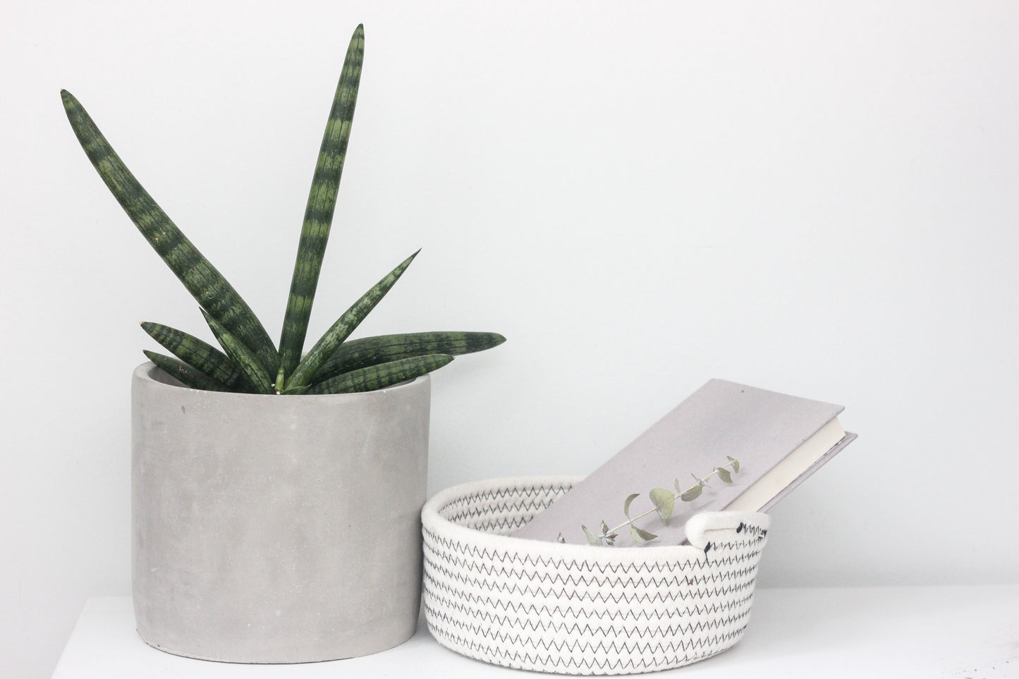 7" Concrete Cylinder Planter Pot