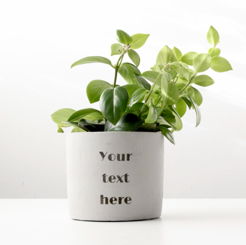 5" Concrete Cylinder Planter Pot