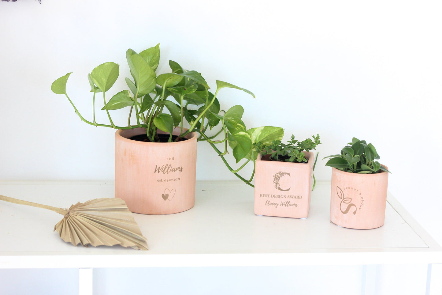 Personalized Blush Pink Flower Pot, Engraved Terracotta Planter