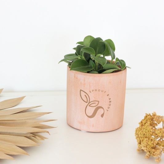 Personalized Blush Pink Flower Pot, Engraved Terracotta Planter